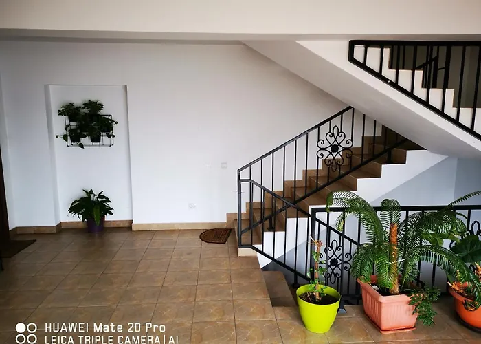 Cluj City Marasti Apartament 2